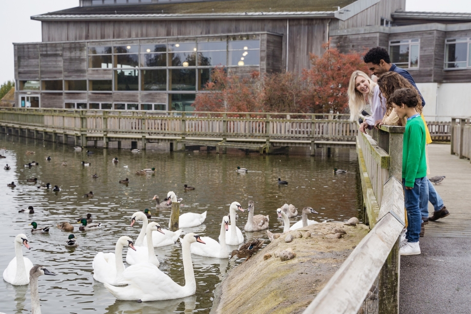 Slimbridge wins Gold Accreditation from VisitEngland